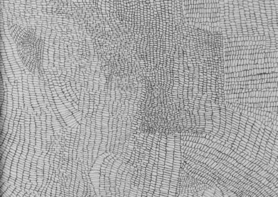 Annette Lieblein, Clusters, Pen on Paper, 8" x 10", $500