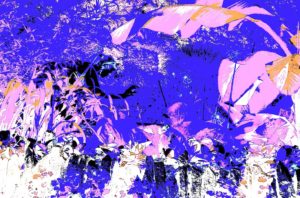 Steven Levine, Swim, Digital Photograph, 15" x 22", $295