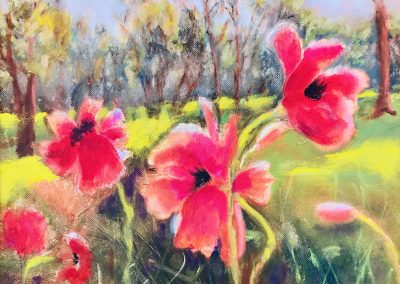 Arlene Oraby, Popping Poppies, Oil, 20"x24", $350