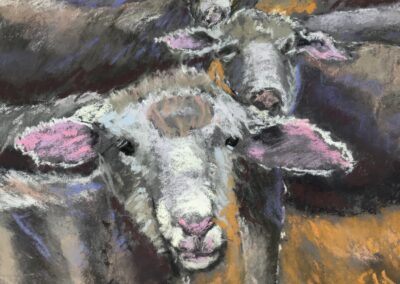 Arlene Oraby, Sheep You See, Pastel, 11"x14", $200