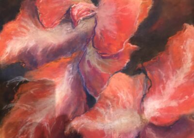 Arlene Oraby, Winter Amaryllis, Pastel on Sennelier Paper, 20"x26", $250