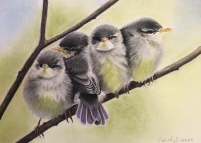 Carol Gromer, The Birds, Conte and Charcoal, 20.5"x23", $1,500