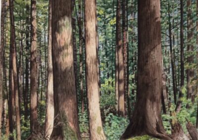 Jim Maciel, Forest, Watercolor, 24"x30", $250