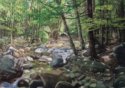 Jim Maciel, A Maine Stream, Watercolor, 24"x30", $250