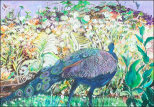 Vivian Bergenthal, Prowling Peacock, Mixed media, 11"x17", $500