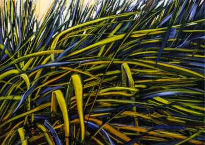 Jane Black, Tangled Grasses, Oil on linen, 24"x24", $800