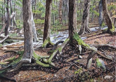 Jim Maciel, The Cape, Watercolor, 24"x30", $250