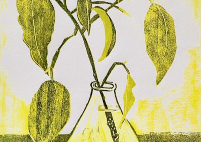 Dawn Leone, Propagating Ficus, Woodcut Reduction, 8"x11", $200