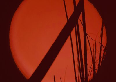 NRHS, Moira McCaul, Terrell Thompson, Red Room, Digital photograph, 14"x14", $96