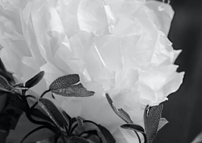 Marissa Grimaldi Kam, Scraps & Sage, Photography, 12"x18", $275