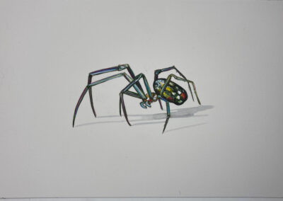 Marie Mcnicholas, Spider, Watercolor,ink,pencil on paper, 8"x10"x1", $235