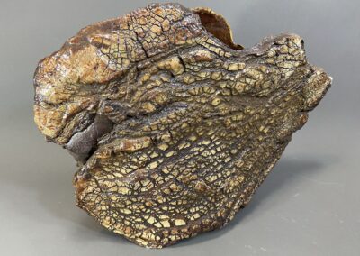 Robin Henschel, Tree Bark vase wood fired, Stoneware, 12"x12"x6", $88
