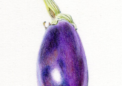 Alice, Kenny, Eggplant, Color Pencil, 6" x 3.75", $250.00