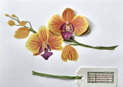 Annabel, Romero, "Orchid Collector", Mixed media, 8.5 x 10.5 x 1.5 in, $350