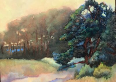 Virginia Zelman, Rugged Pine, Oil on board, 16"x20", $850