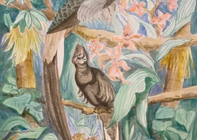 Inge Pape Trampler ingepapetrampler@hotmail.com #2512 Quetzals Acrylic wash 18x24 $925.00