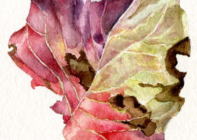 Alice Kenny Euro Linden Leaf Watercolor 3.75" X 3.25" x O" $275.00